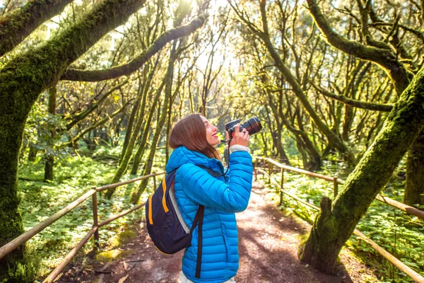 Vrouw reizen van altijdgroene bos — Stockfoto