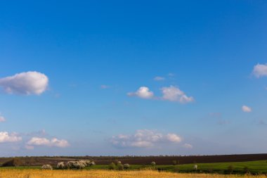 Bahar kırsal manzara