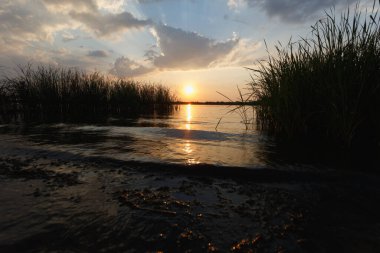 Nehirde yaz günbatımı