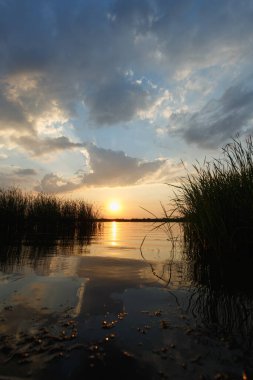 Nehirde yaz günbatımı