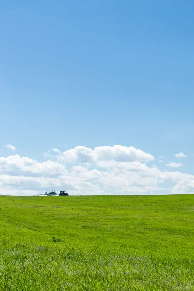 Jordbrukstraktorer arbetar en grön vete området vid lunchtid — Stockfoto