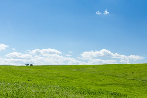 Jordbrukstraktorer arbetar i ett grönt vete fält — Stockfoto