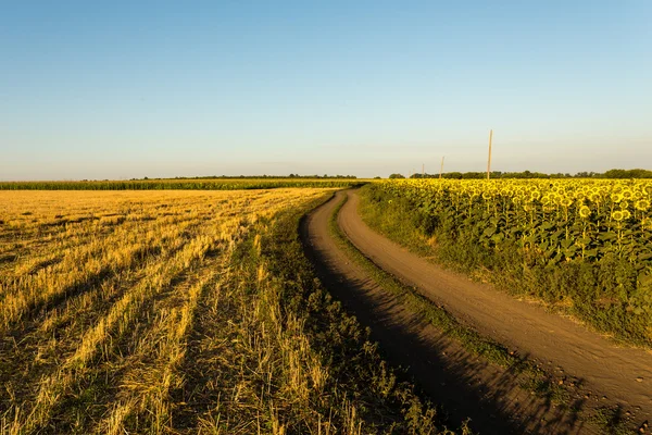 Kırsal yol alanlar arasında