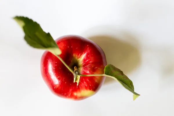 Roter Apfel — Stockfoto