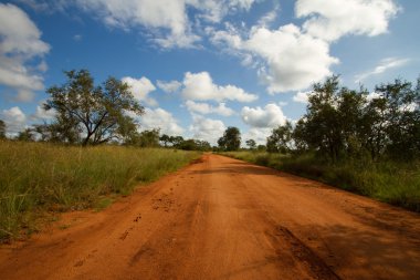 Safarie - Güney Afrika