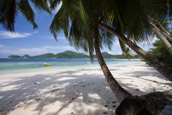 Playa de Seychellen — Foto de Stock