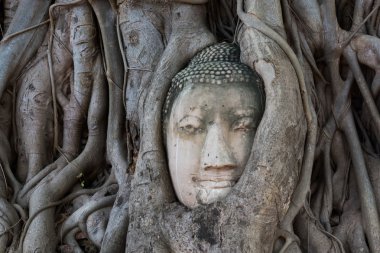 Buda'nın arkeolojik Tayland kalır