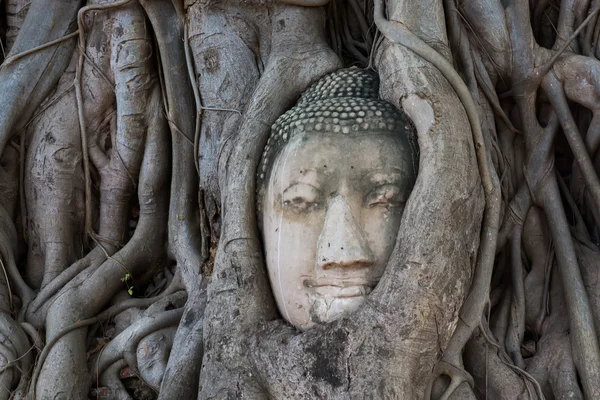 Buddha-Überreste an der archäologischen Stätte in Thailand — Stockfoto