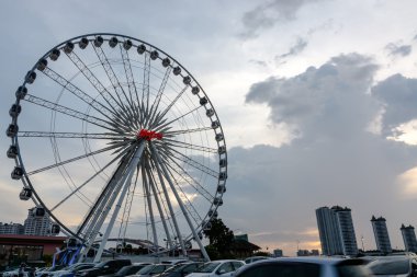 Asiatique soğuk ışık