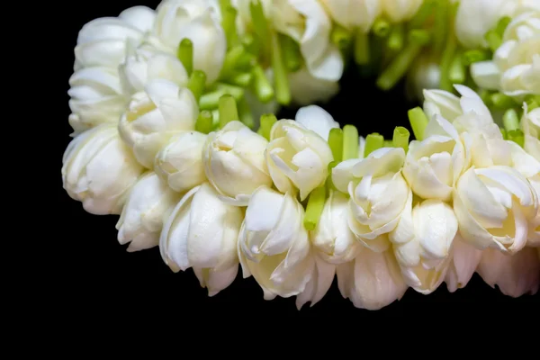 Fresh jasmine garland — Stock Photo, Image