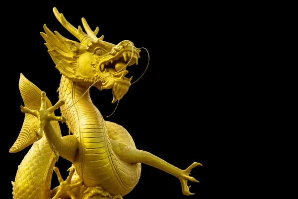 Zlatý čínský drak — Stock fotografie