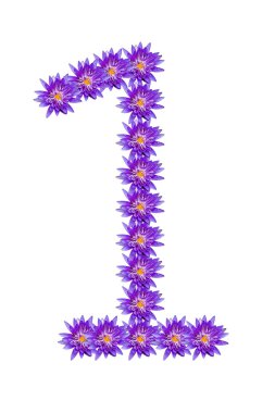 lotus number.1 numarası