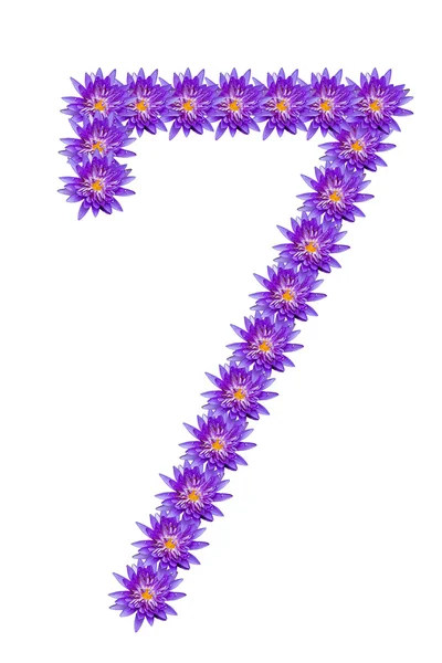 Numéro du lotus Nombre.7 — Photo