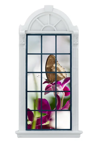 Modern Window. with clipping path — Stock Photo, Image