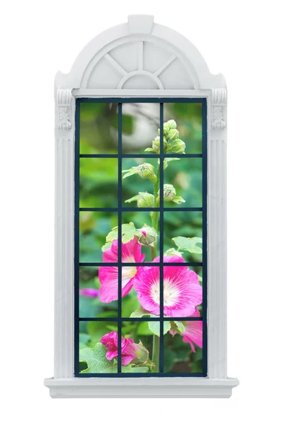 Modern Window. with clipping path — Stock Photo, Image