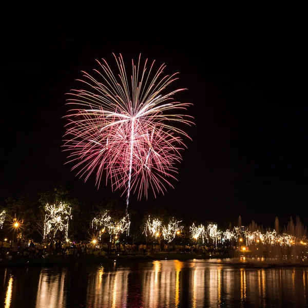 Grandes fuegos artificiales en el cielo sobre un parque — Foto de Stock