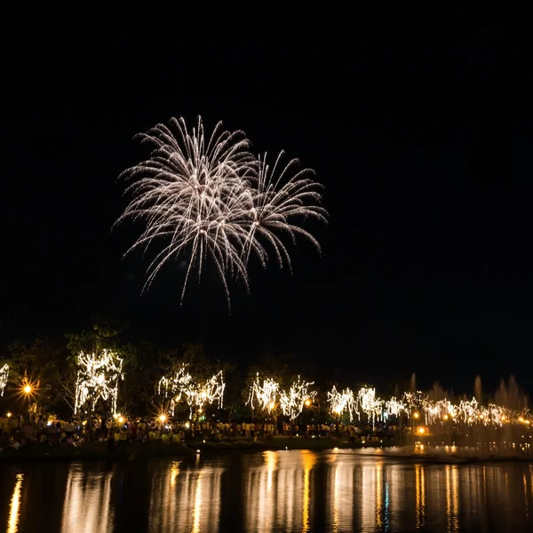 Grandes fogos de artifício no céu sobre um parque — Fotografia de Stock