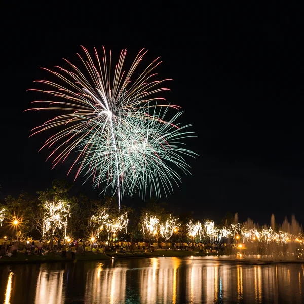 Grandes fuegos artificiales en el cielo sobre un parque — Foto de Stock