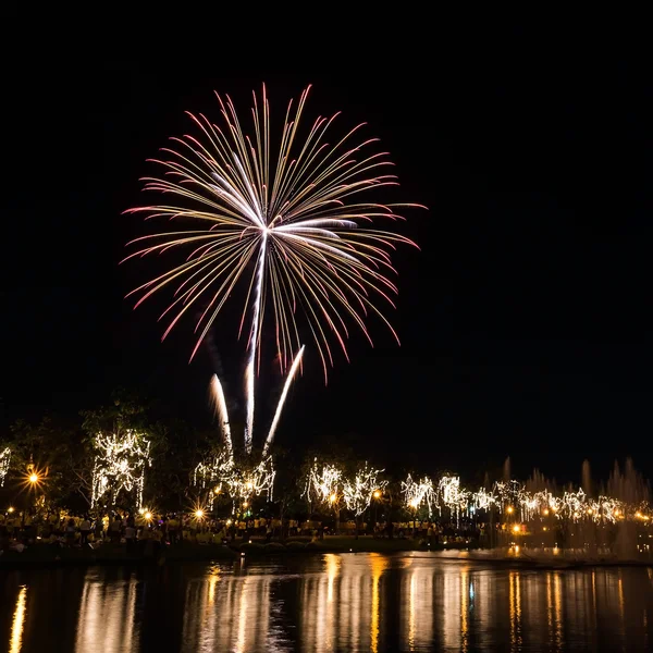 Grandes fogos de artifício no céu sobre um parque — Fotografia de Stock