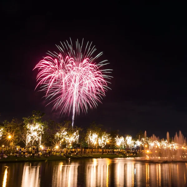 Grandes fuegos artificiales en el cielo sobre un parque — Foto de Stock