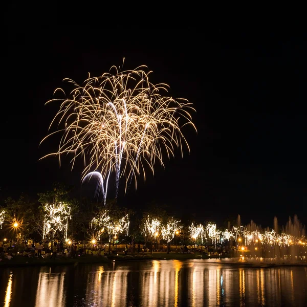 Grandes fuegos artificiales en el cielo sobre un parque — Foto de Stock