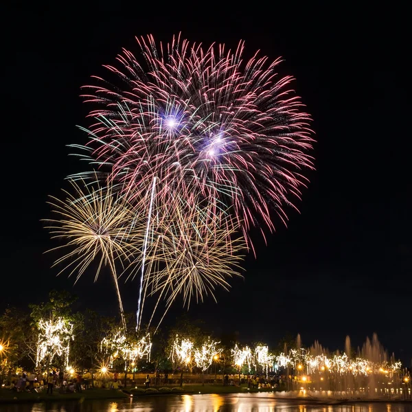 Grote vuurwerk in de hemel over een parken — Stockfoto
