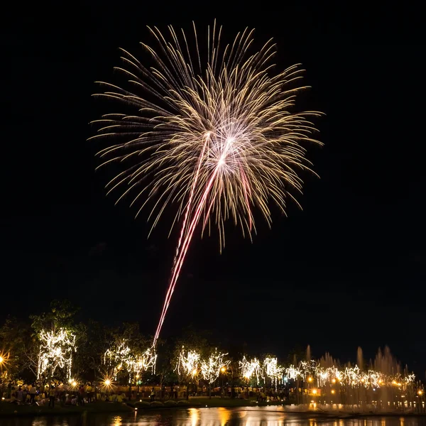 Grandes fuegos artificiales en el cielo sobre un parque — Foto de Stock