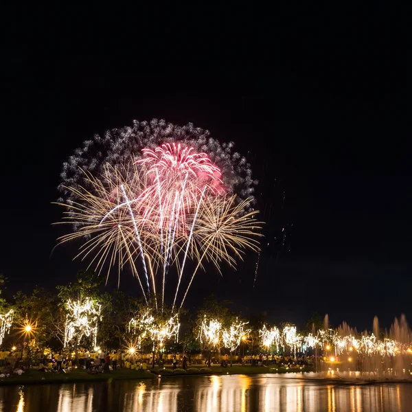 Grandes fuegos artificiales en el cielo sobre un parque — Foto de Stock