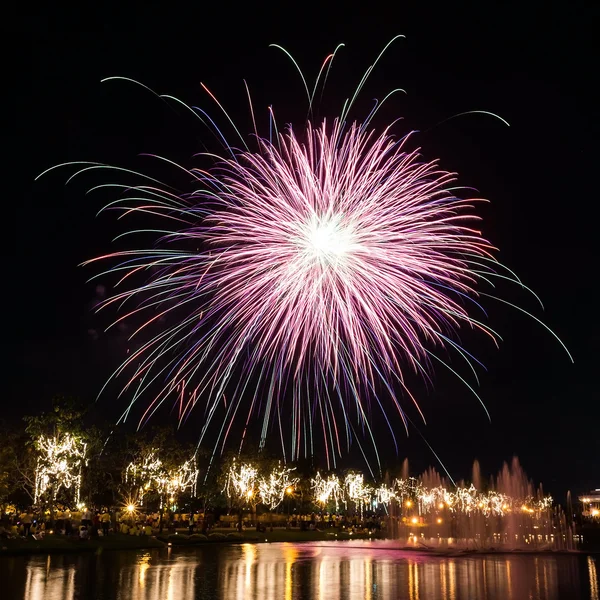 Grandes fuegos artificiales en el cielo sobre un parque — Foto de Stock