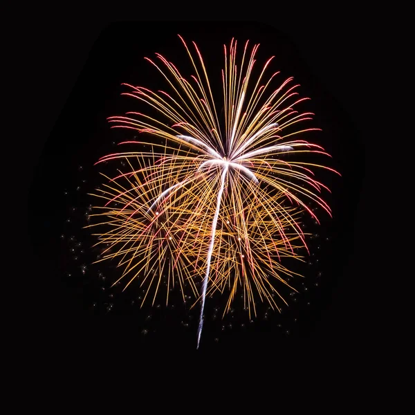 Colorful fireworks on the black sky background — Stock Photo, Image