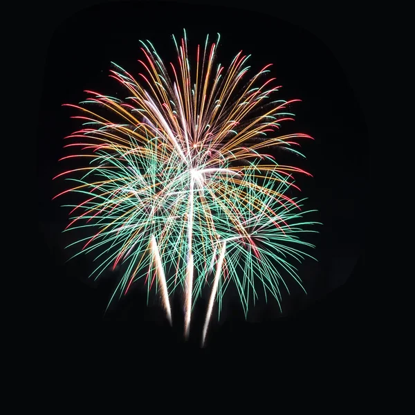 Colorful fireworks on the black sky background