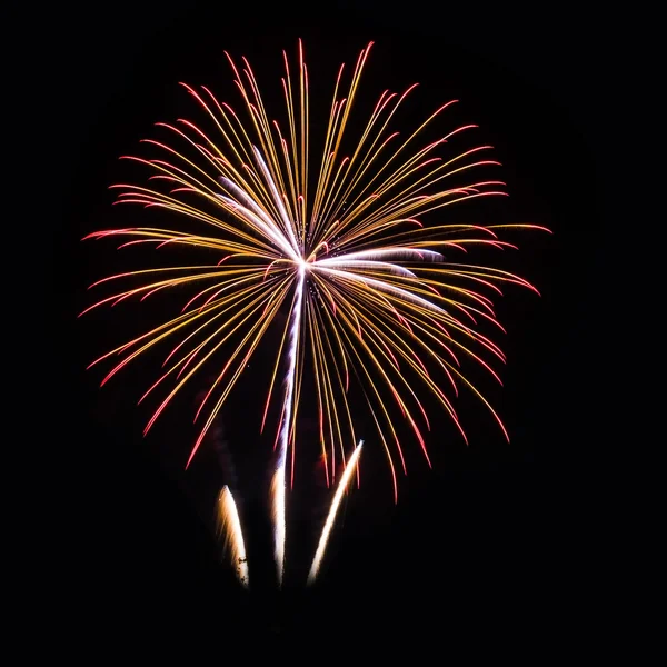 Colorful fireworks on the black sky background — Stock Photo, Image