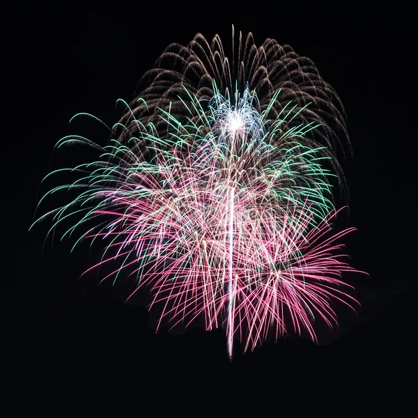 Colorful fireworks on the black sky background — Stock Photo, Image