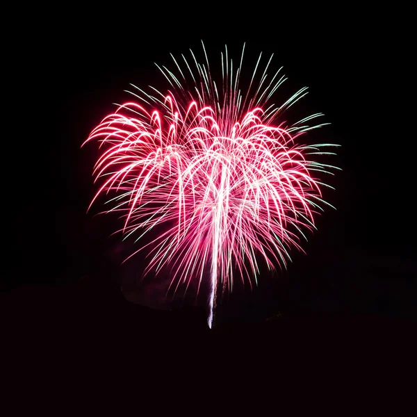 Colorful fireworks on the black sky background — Stock Photo, Image