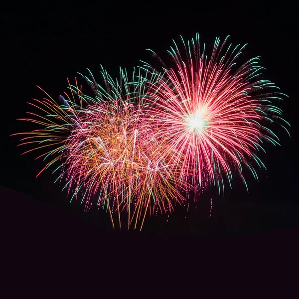 Colorful fireworks on the black sky background — Stock Photo, Image