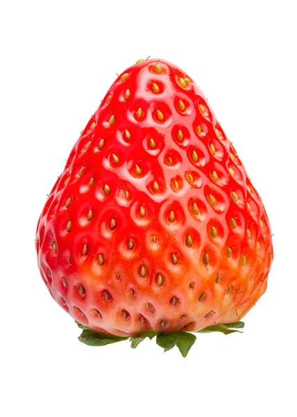 Délicieuse fraise fraîche — Photo