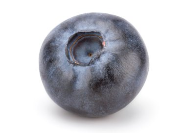 Taze taze yaban mersini