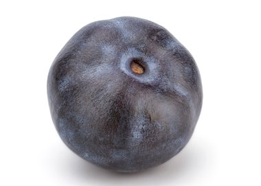 Taze taze yaban mersini