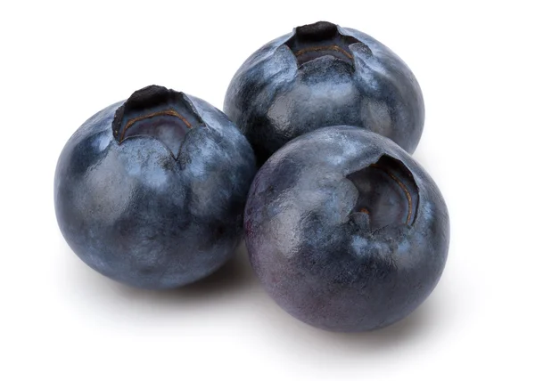 The Fresh Fresh Blueberry — Stock Photo, Image