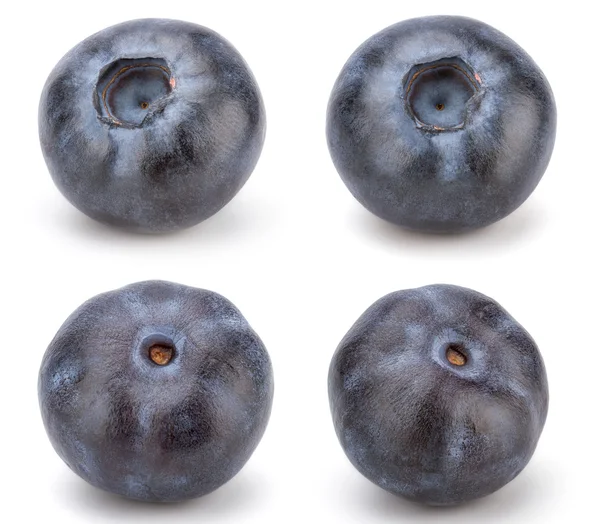 The Fresh Fresh Blueberry — Stock Photo, Image