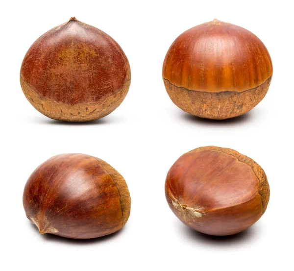 The Fresh Chinese Chestnut — Stock Photo, Image