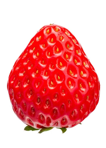 Une fraise fraîche — Photo