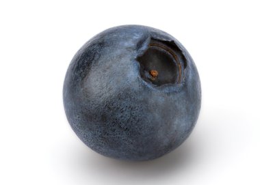 Beyaz arkaplanda taze yaban mersini