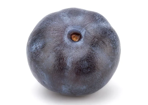 Fresh Blueberry on White Background — Stock Photo, Image