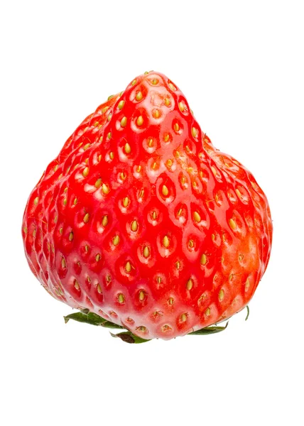 맛 있는 신선한 딸기 — 스톡 사진
