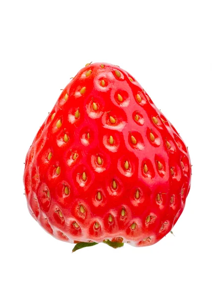 Νόστιμα φρέσκα φράουλα — Φωτογραφία Αρχείου