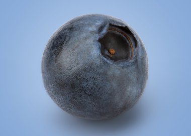 Mükemmel temizlenmiş taze yaban mersini