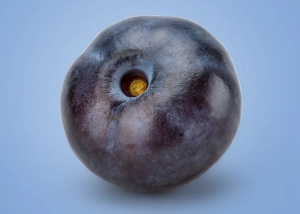 Perfect Cleaned Fresh Blueberry — Stock Photo, Image