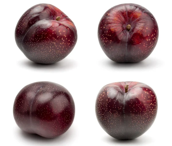 Fresh Red Plum — Stock Photo, Image