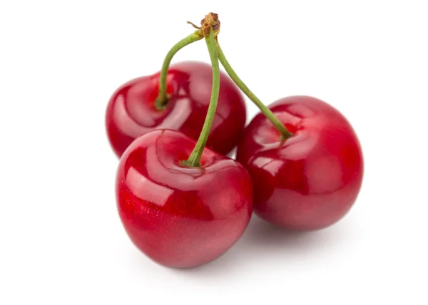 Cereza roja fresca — Foto de Stock